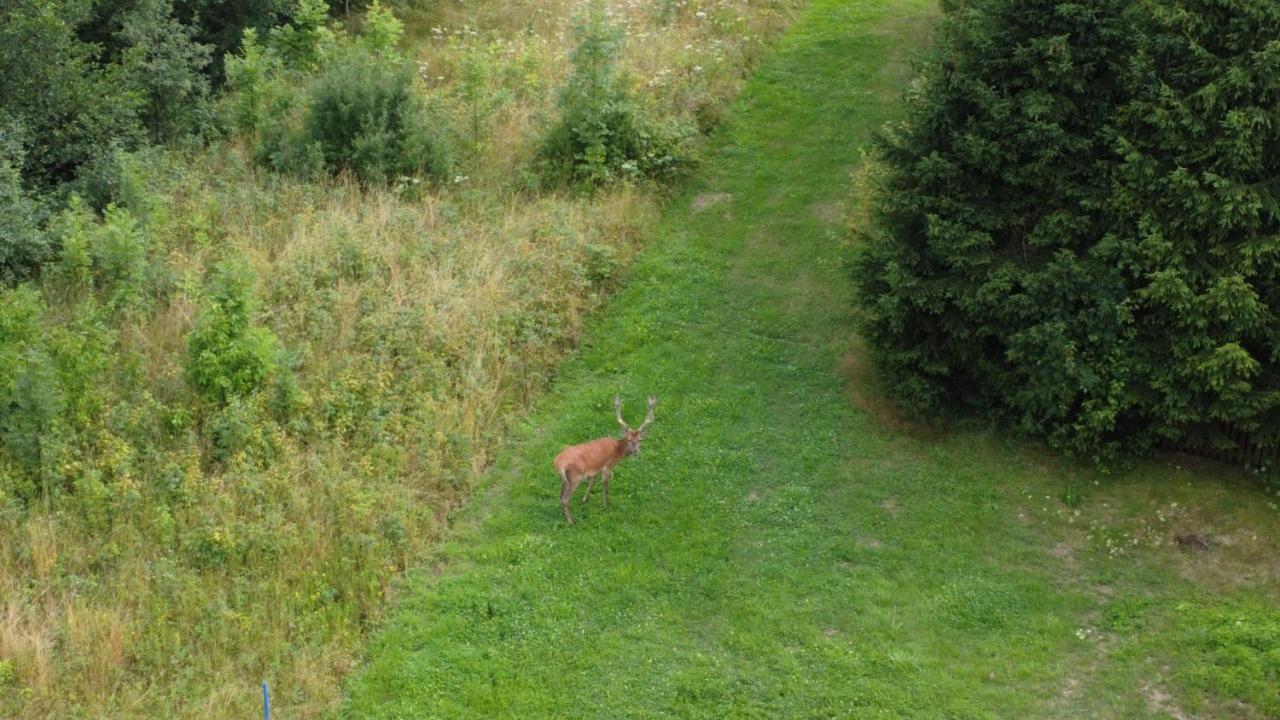 I Bike'Owy Domek Z Finska Balia Nad Jeziorem Czorsztynskim - 400M Od Jeziora I Sciezki Rowerowej Maniowy ภายนอก รูปภาพ